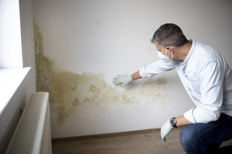 rising damp Durham